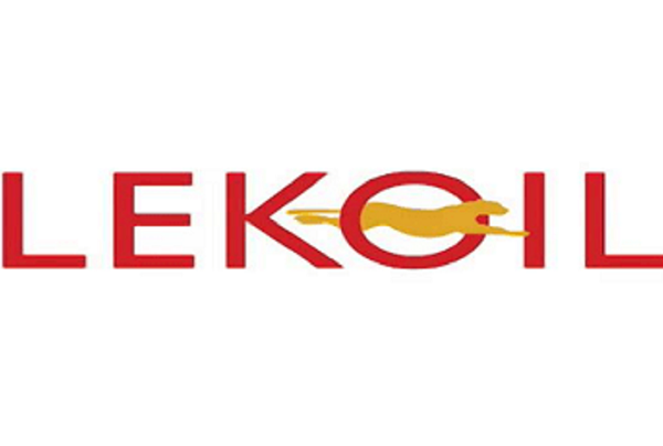 Lekoil Boss Calls for Policy Changes, Stronger Support for Widows