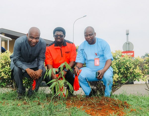 Egbin Power Commemorates Tree Planting Day to Deepen Environmental Sustainability