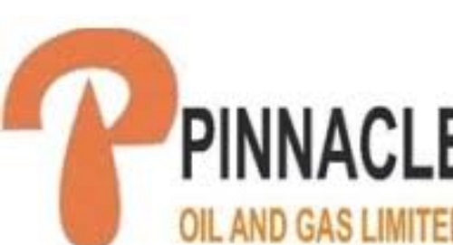 Pinnacle Oil and Gas Limited Appoints Adenike Labinjo as New MD/CEO to lead the next phase of growth